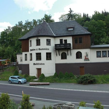 Hotel Waldfrieden Elsterberg Exteriér fotografie