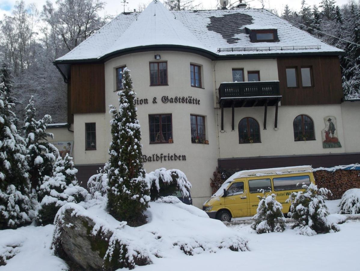 Hotel Waldfrieden Elsterberg Exteriér fotografie